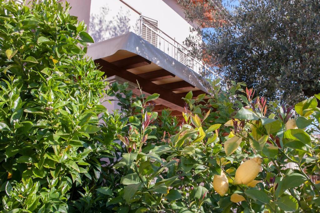 B&B Alle Tre Rose Монтиньйозо Экстерьер фото