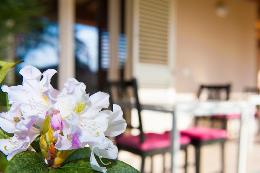 B&B Alle Tre Rose Монтиньйозо Экстерьер фото